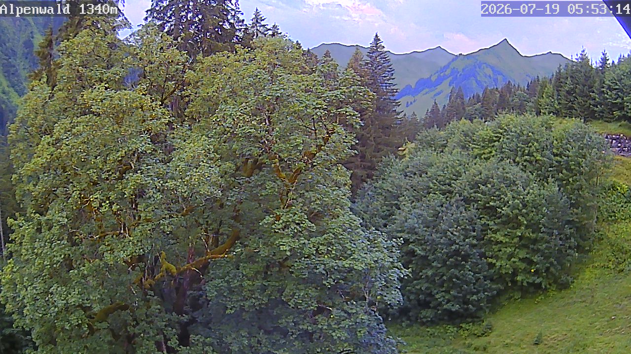 Bild: Gasthof Alpenwald